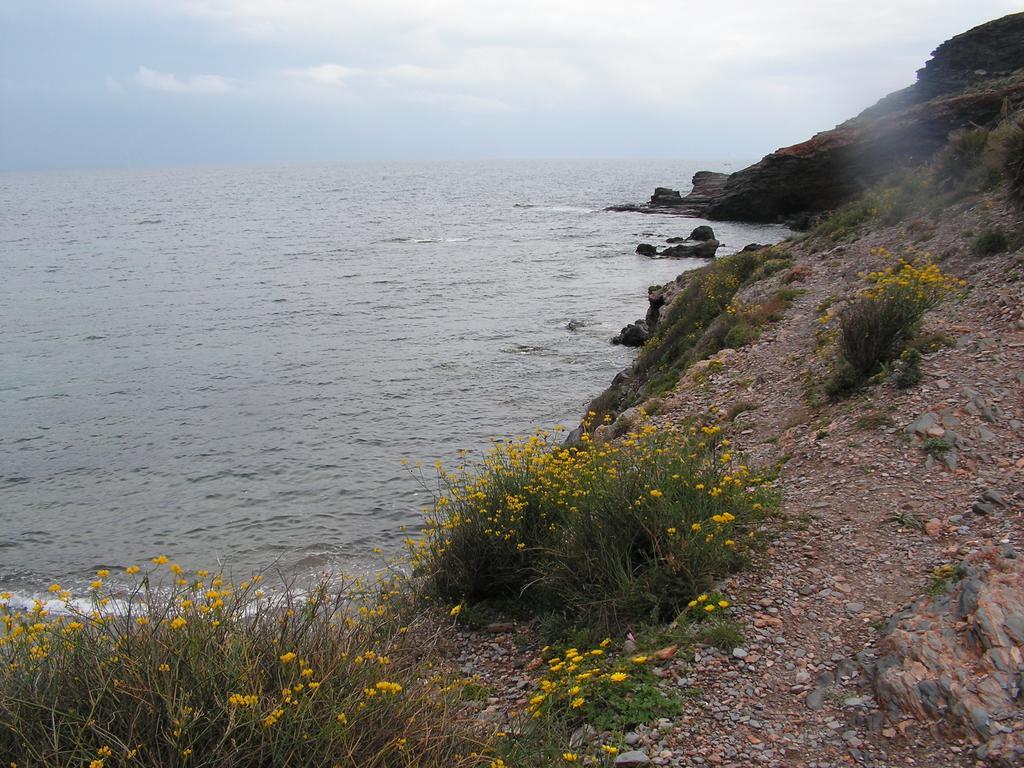 Apartamento Cala Reona Leilighet Cabo de Palos Eksteriør bilde